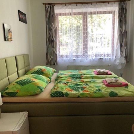 Penzion Na Hrazi Подєбради Екстер'єр фото